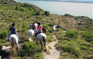 randonnee cheval narbonne plage